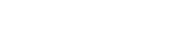 LEI_logo2_white
